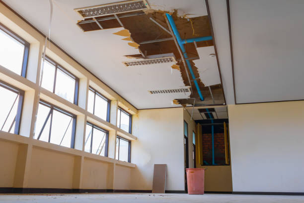 Best Professional water damage repair  in Vilge St George, LA