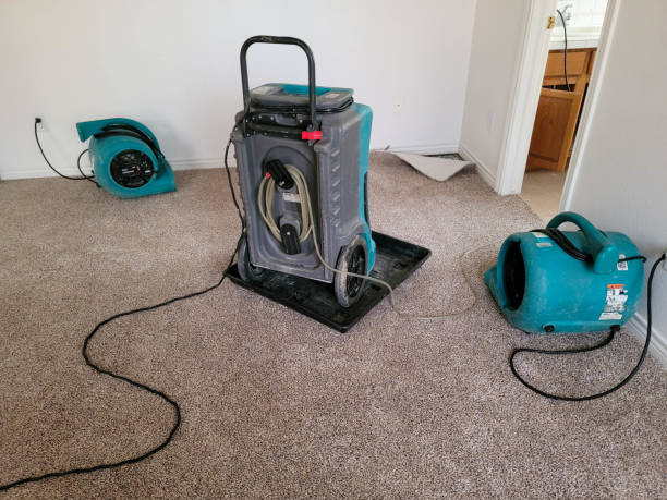  Vilge St George, LA Water damage restoration Pros