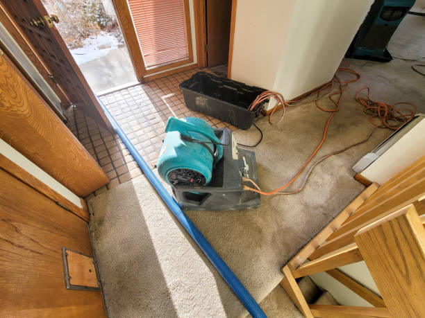 Best Ceiling water damage repair  in Vilge St George, LA