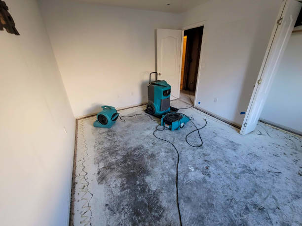 Best Water damage contractors near me  in Vilge St George, LA
