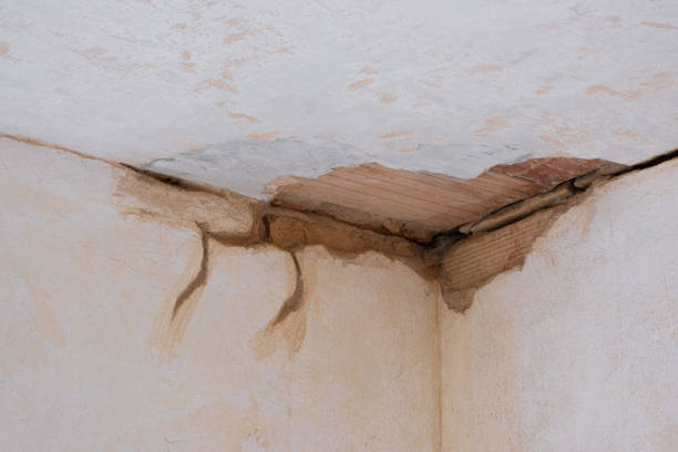 Best Carpet water damage restoration  in Vilge St George, LA