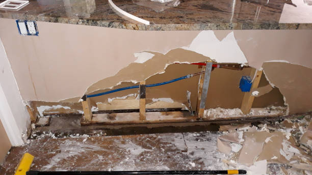 Best Professional water damage repair  in Vilge St George, LA